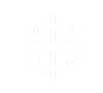 system icon